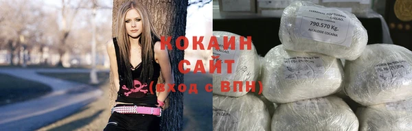 индика Магас
