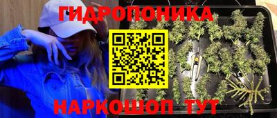 винт Донской