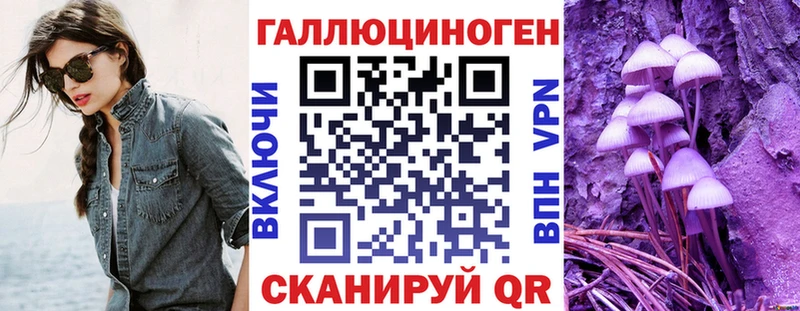 закладка Ногинск Псилоцибиновые грибы Cubensis