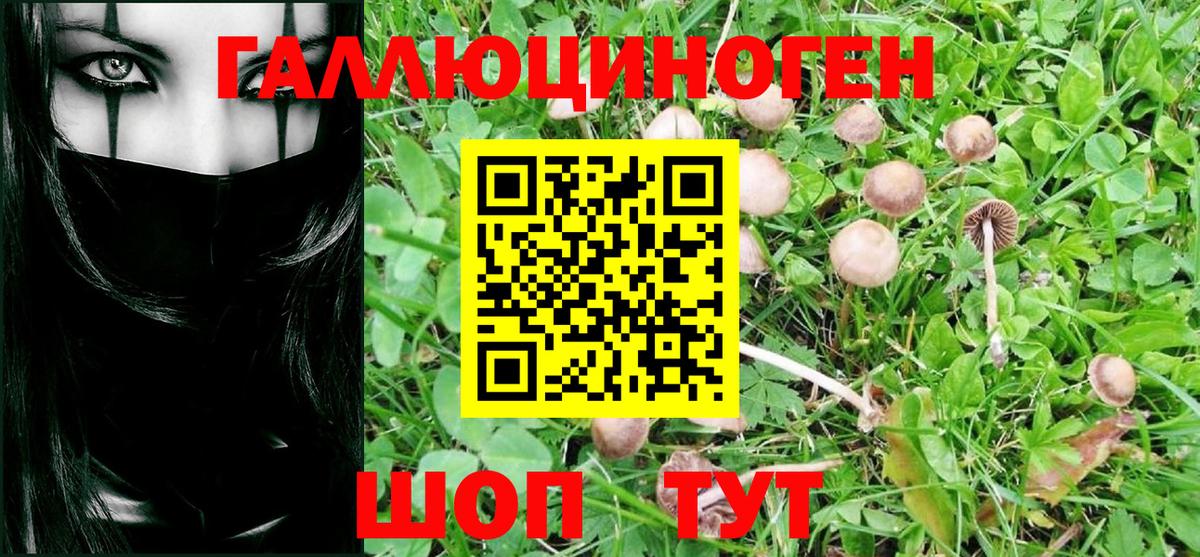 Псилоцибиновые грибы Cubensis Ногинск
