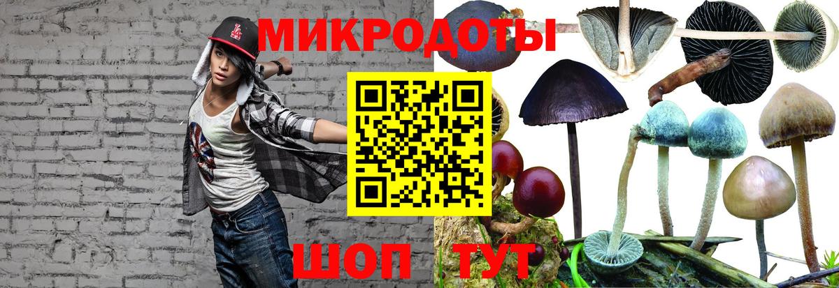 Ногинск  где купить наркоту  Вход с VPN  Галлюциногенные грибы прущие грибы 